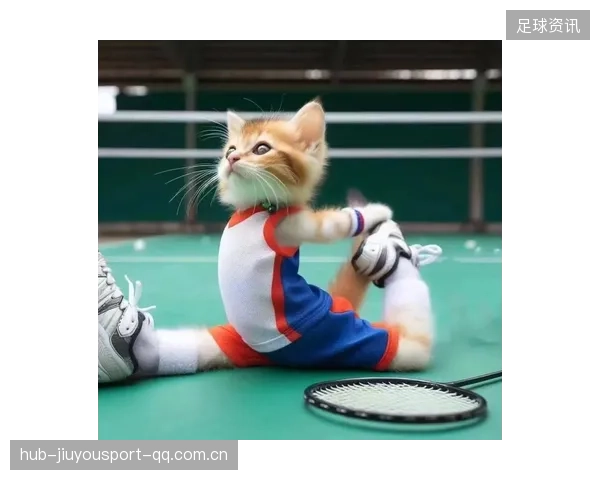 羽毛球赛场突现小猫乱入：一次意外的萌趣闹剧引发的深思